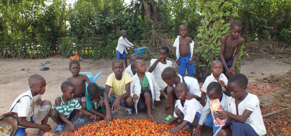 020 rd congo lodja 2013 (13)